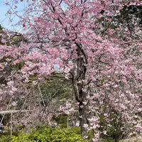 南神苑の写真・動画_image_897407