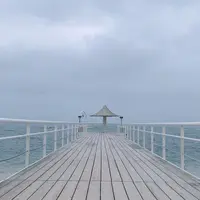 フサキビーチの写真・動画_image_899402