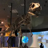 国立科学博物館の写真・動画_image_899477