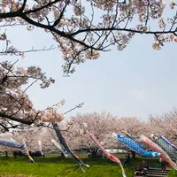 岐阜市立西郷小学校の写真・動画_image_899482