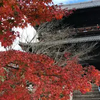 南禅寺の写真・動画_image_899917