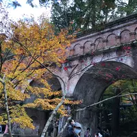 水路閣の写真・動画_image_899918