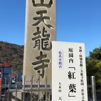 天龍寺の写真・動画_image_899922