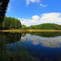 龍王ヶ淵の写真・動画_image_900215