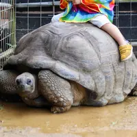 ネオパークオキナワの写真・動画_image_900377