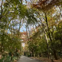 糺ノ森の写真・動画_image_901403