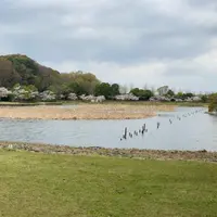 21世紀の森と広場 木もれ陽の森の写真・動画_image_902350