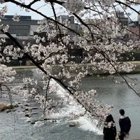 鴨川の写真・動画_image_902366