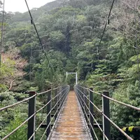 さつき吊橋の写真・動画_image_907085