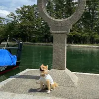 智恵の輪石灯籠の写真・動画_image_907962