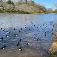三ツ池公園の写真・動画_image_909298