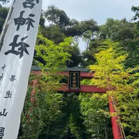 來宮神社の写真・動画_image_909493