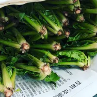 JA阿蘇小国郷朝どり市よかとこ市の写真・動画_image_910229