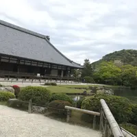 天龍寺 曹源池の写真・動画_image_910402