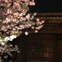東寺（教王護国寺）の写真・動画_image_910423