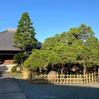 正定寺の写真・動画_image_910581