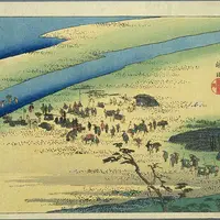 島田宿大井川川越遺跡の写真・動画_image_910586