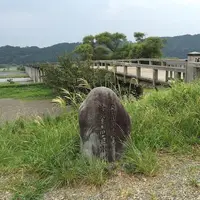 蓬莱橋の写真・動画_image_910657