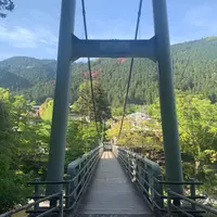楓橋の写真・動画_image_910712