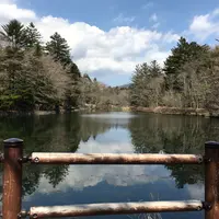 雲場池の写真・動画_image_910746