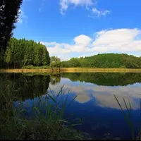 龍王ヶ淵の写真・動画_image_911122