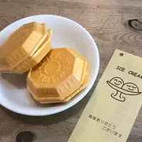 からさわの写真・動画_image_911760