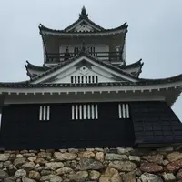 浜松城の写真・動画_image_911856