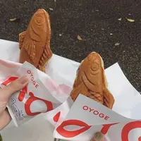 OYOGEの写真・動画_image_914614