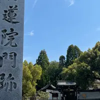 青蓮院門跡の写真・動画_image_914662