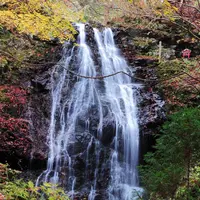 不動滝の写真・動画_image_916059