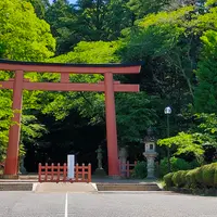 香取神宮の写真・動画_image_917437