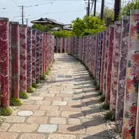 キモノフォレストの写真・動画_image_918288