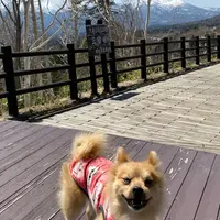 三国峠の写真・動画_image_918663