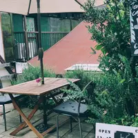 CELESTA TEAの写真・動画_image_918947