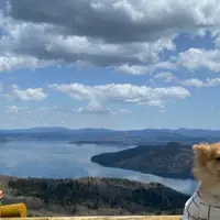 屈斜路湖の写真・動画_image_919907