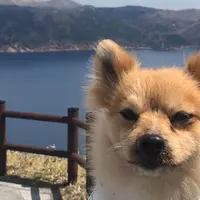摩周湖の写真・動画_image_919913