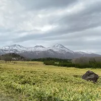 知床峠の写真・動画_image_919996
