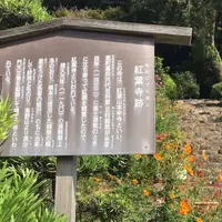 紅葉寺の写真・動画_image_921656