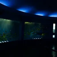 【閉業】京急油壺マリンパークの写真・動画_image_922095