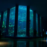 東海大学海洋学部博物館の写真・動画_image_922104