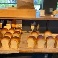 ANT BAKERY by mugimugiの写真・動画_image_923479