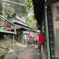 猫の細道の写真・動画_image_924182