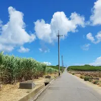 波照間島の写真・動画_image_924658