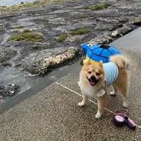 波の上うみそら公園の写真・動画_image_924785