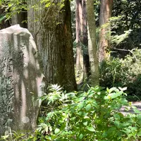 箱根旧街道杉並木の写真・動画_image_925845