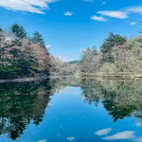 雲場池の写真・動画_image_926256