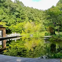ピッキオの写真・動画_image_926267