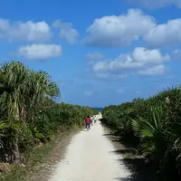 ハビャーン（カベール岬）の写真・動画_image_926312