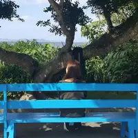 久高漁港の写真・動画_image_926323