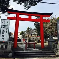 玉前神社の写真・動画_image_927570